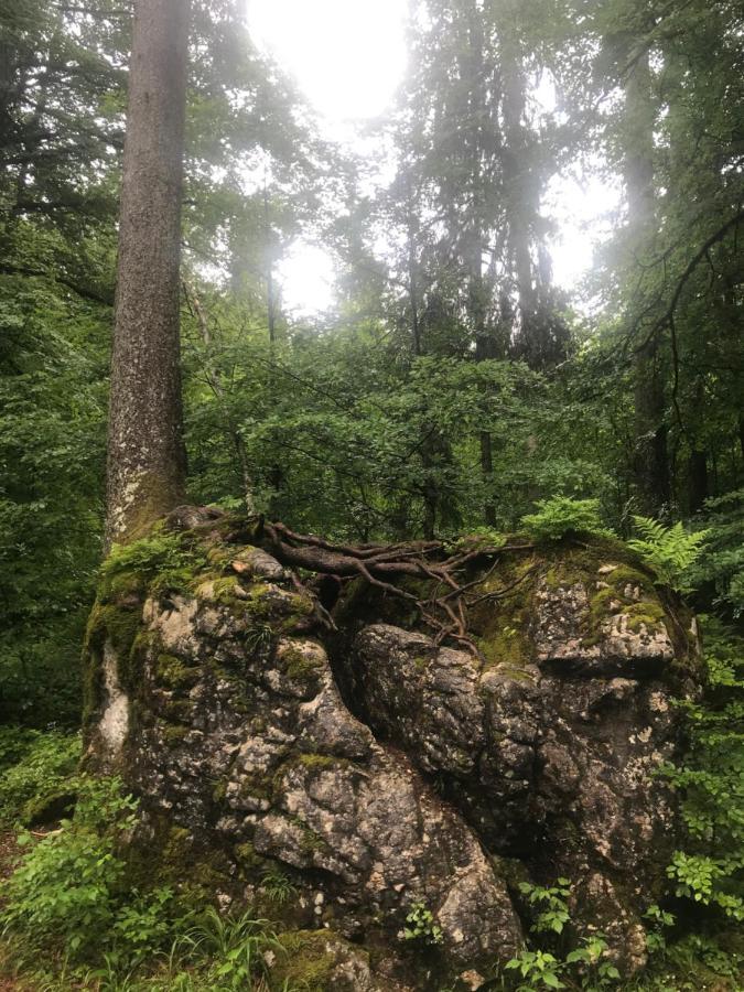 Ferienwohnung Morgentau Am Rande Der Wildnis Sibratsgfall Exterior photo